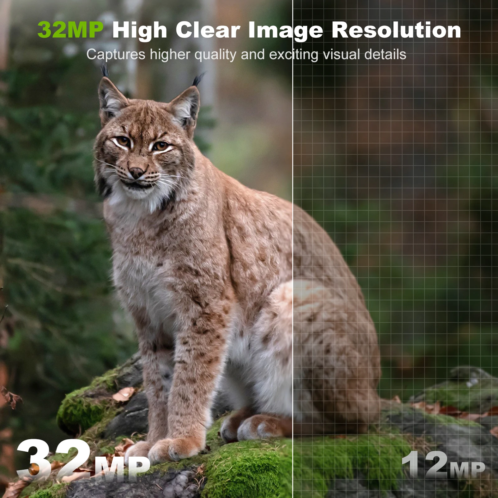 Câmera solar ao ar livre sem f - Outdoor Hunting Camera Wifi avaliação e preço